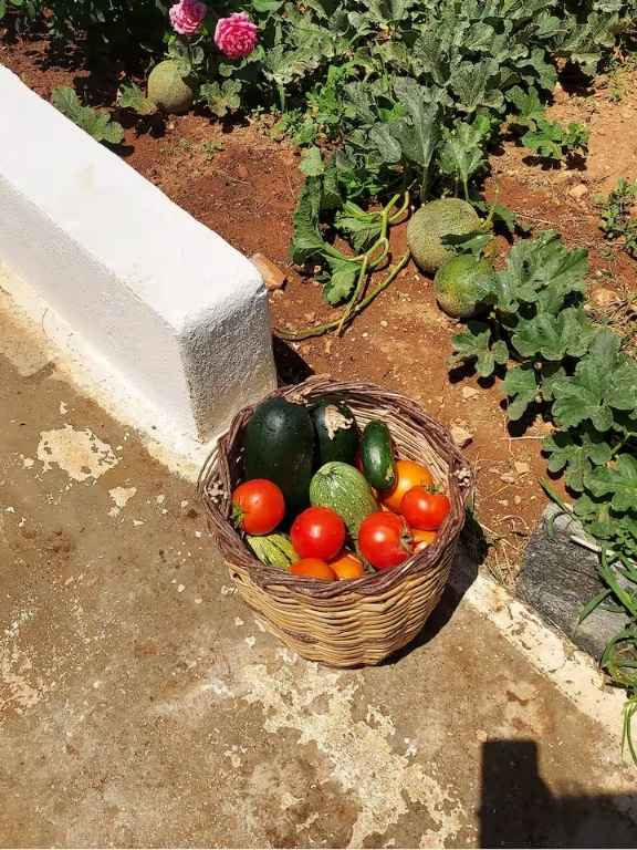 Best Airbnbs in Paros Charming Renovated Farmhouse! Paros - Antiparos!