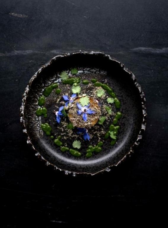 Best Treehouse Hotels In Europe Loire Valley Lodges