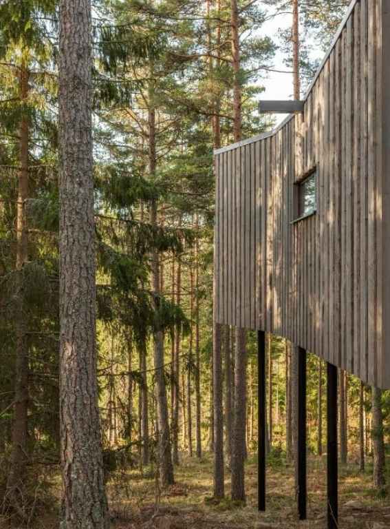 Best Treehouse Hotels In Europe Trakt Forest Hotel Skogssviter