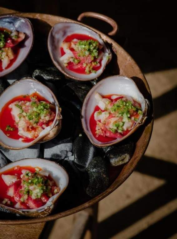 Brutalist Hotels Paradero Todos Santos