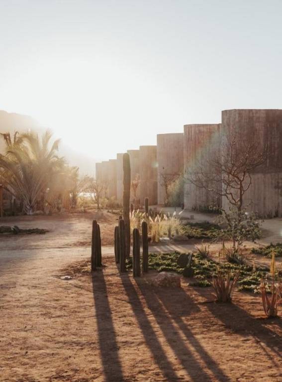 Brutalist Hotels Paradero Todos Santos