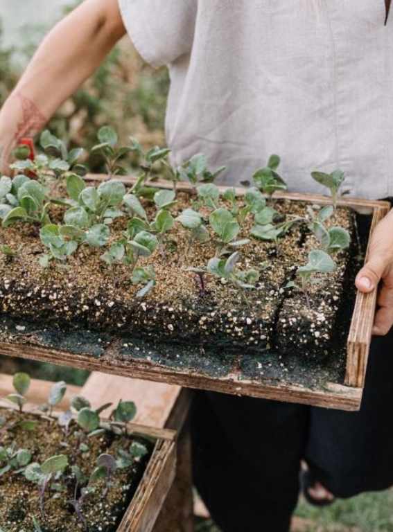 Eco Hotels in Europe La Donaira