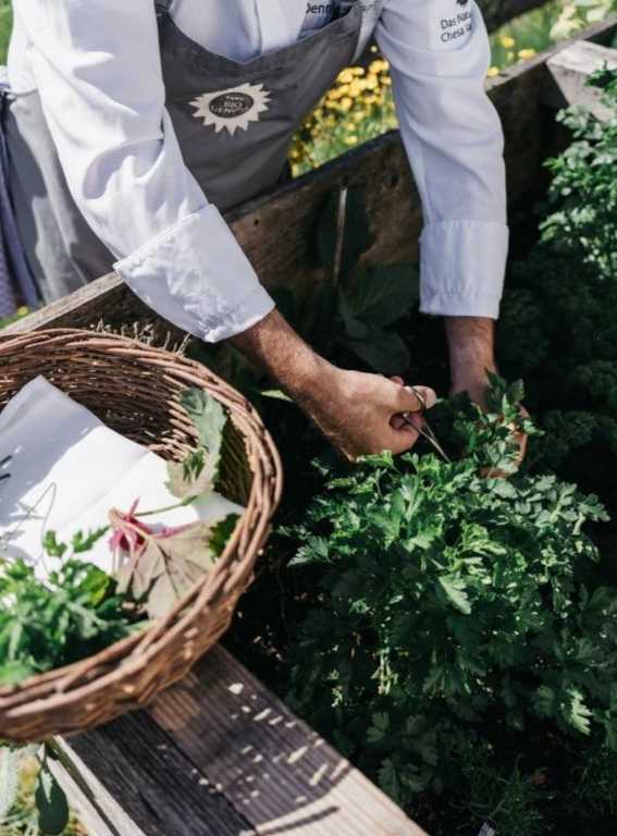 Eco Hotels in Europe Naturhotel Chesa Valisa