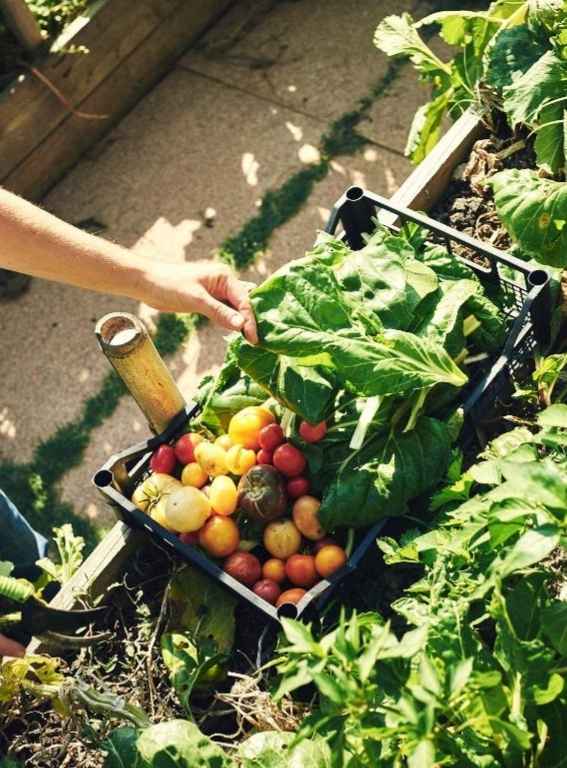 Farm To Table Hotels In Italy Villa Lena