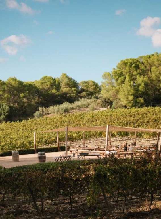 Farm To Table Hotels In Spain Finca Serena Mallorca