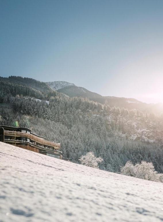 Hotels in the Austrian Alps Coolnest hotel