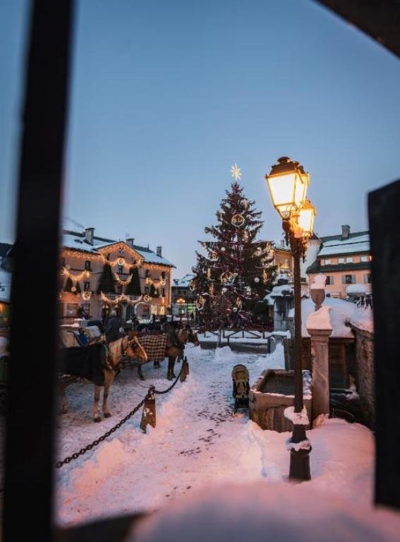 Hotels in the French Alps Coeur de Megève