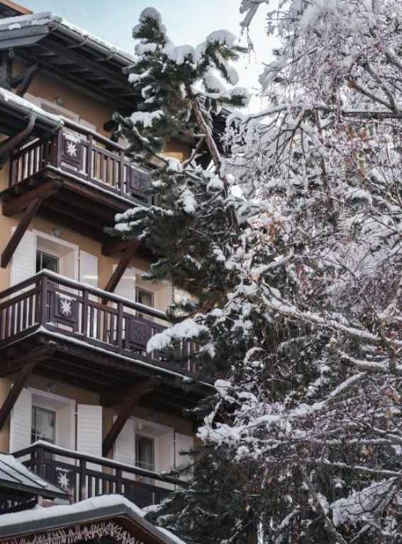 Hotels in the French Alps Lodge Park