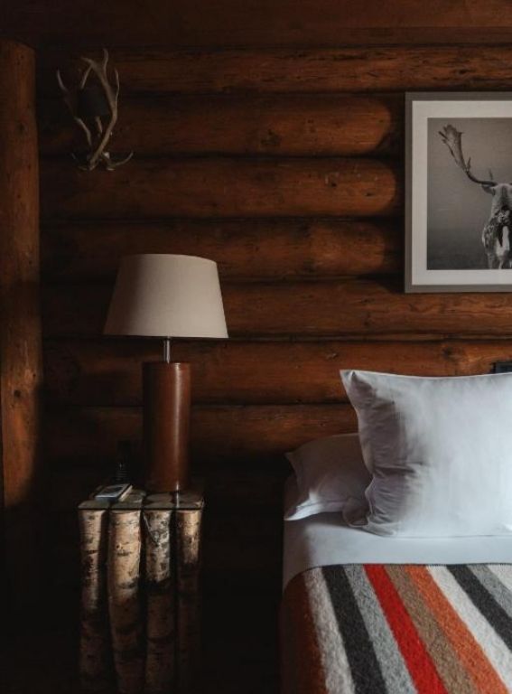 Hotels in the French Alps Lodge Park