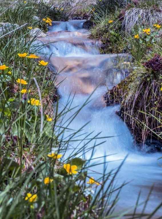 Hotels in the Italian Alps Hotel Ciasa Salares