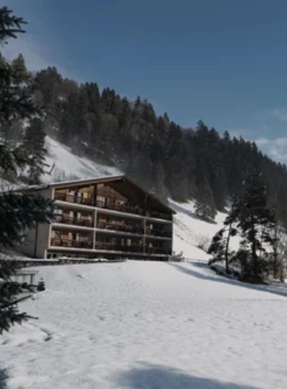 Hotels In The Swiss Alps Villa Hundert