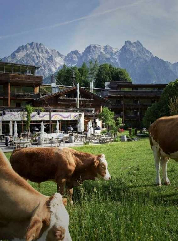 Wellness Hotels in Europe Holzhotel Forsthofalm