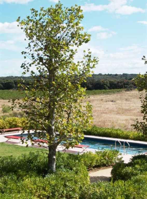 Wine Hotels France Village Castigno - Wine Hotel & Resort