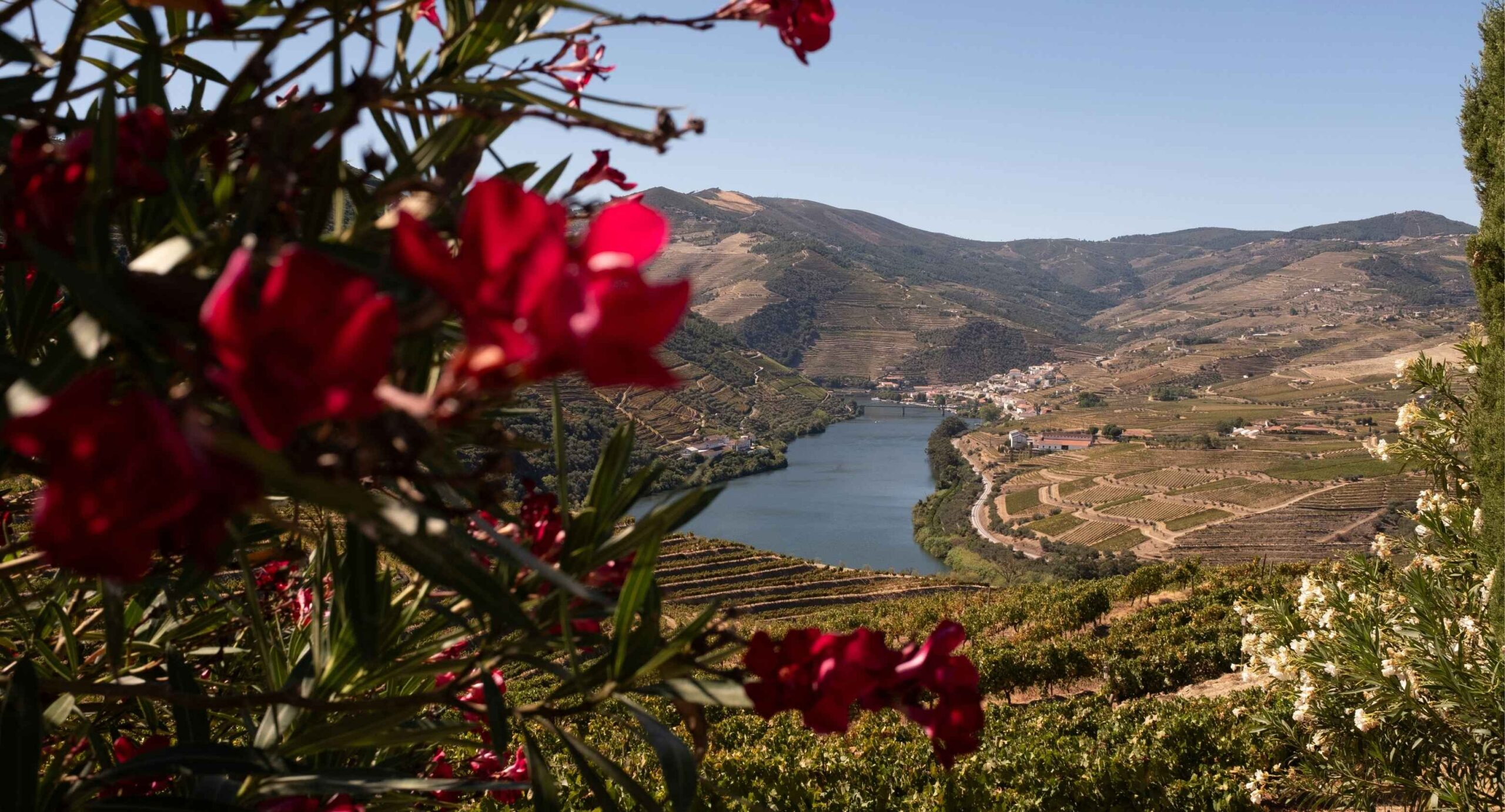 Wine Hotels Portugal