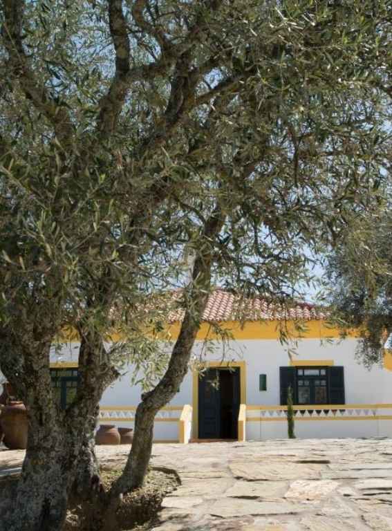 Wine Hotels Portugal Quinta da Côrte