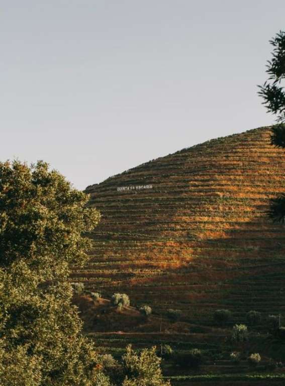 Wine Hotels Portugal Torel Quinta da Vacaria
