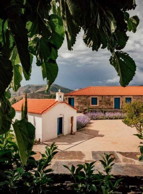Wine Hotels Portugal Ventozelo Hotel & Quinta