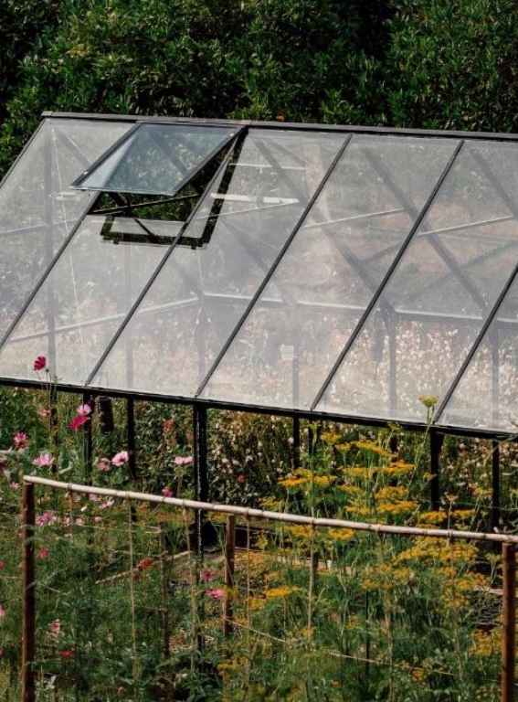 Wine Hotels Portugal Ventozelo Hotel & Quinta