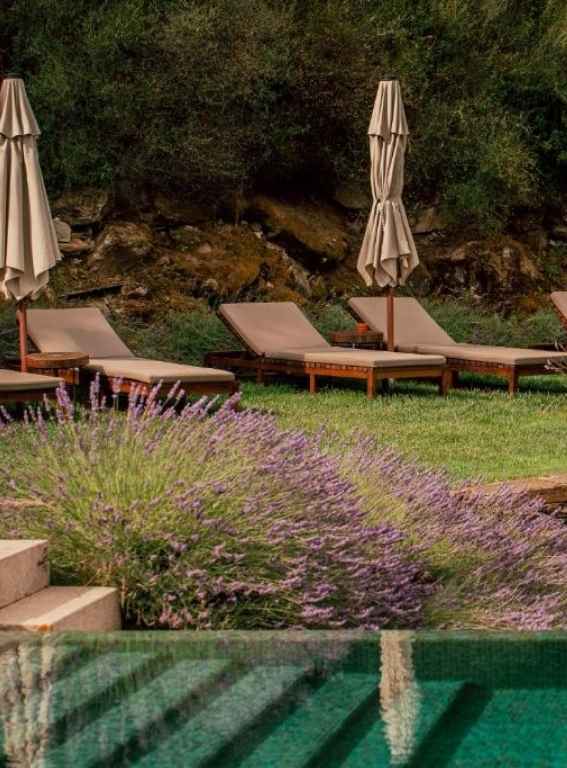 Wine Hotels Portugal Ventozelo Hotel & Quinta