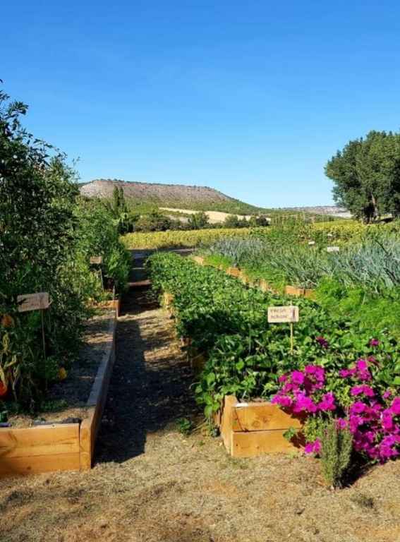 Wine Hotels Spain Abadia Retuerta LeDomaine