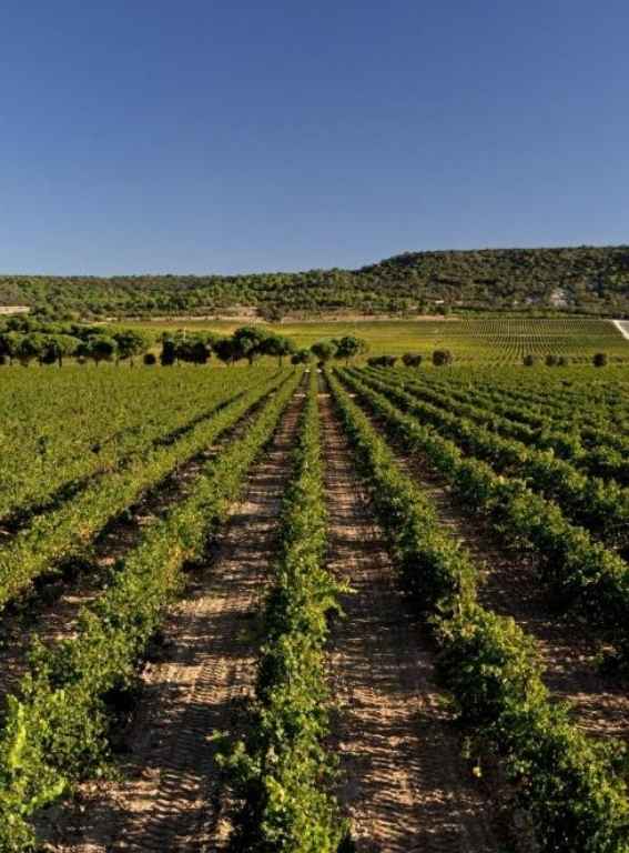 Wine Hotels Spain Abadia Retuerta LeDomaine