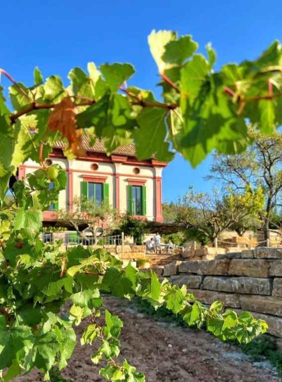 Wine Hotels Spain Hotel Montrubí 1771 - Slow Winery Hotel - Adults only