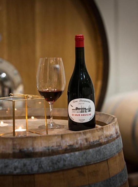 Wine Hotels Spain Terra dominicata