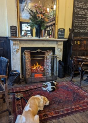 Cosy Pubs In London The Approach Tavern