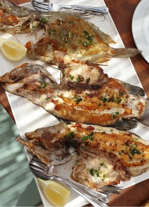 Best Restaurants In Mallorca Ca's Patro March