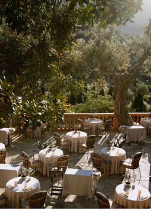 Best Restaurants In Mallorca El Olivo