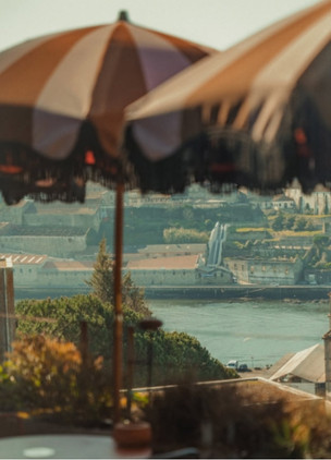 Best Restaurants In Porto Bosco