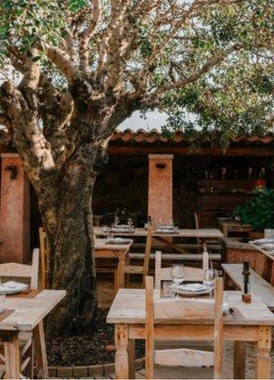 Best Restaurants In Sardinia Agriturismo La Colti