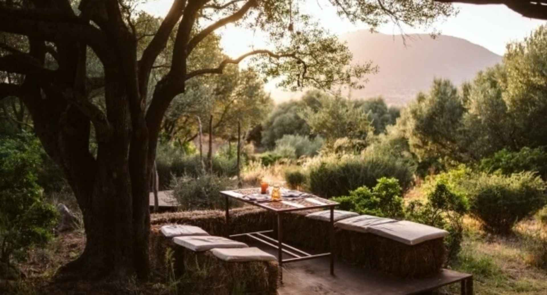 Best Restaurants In Sardinia