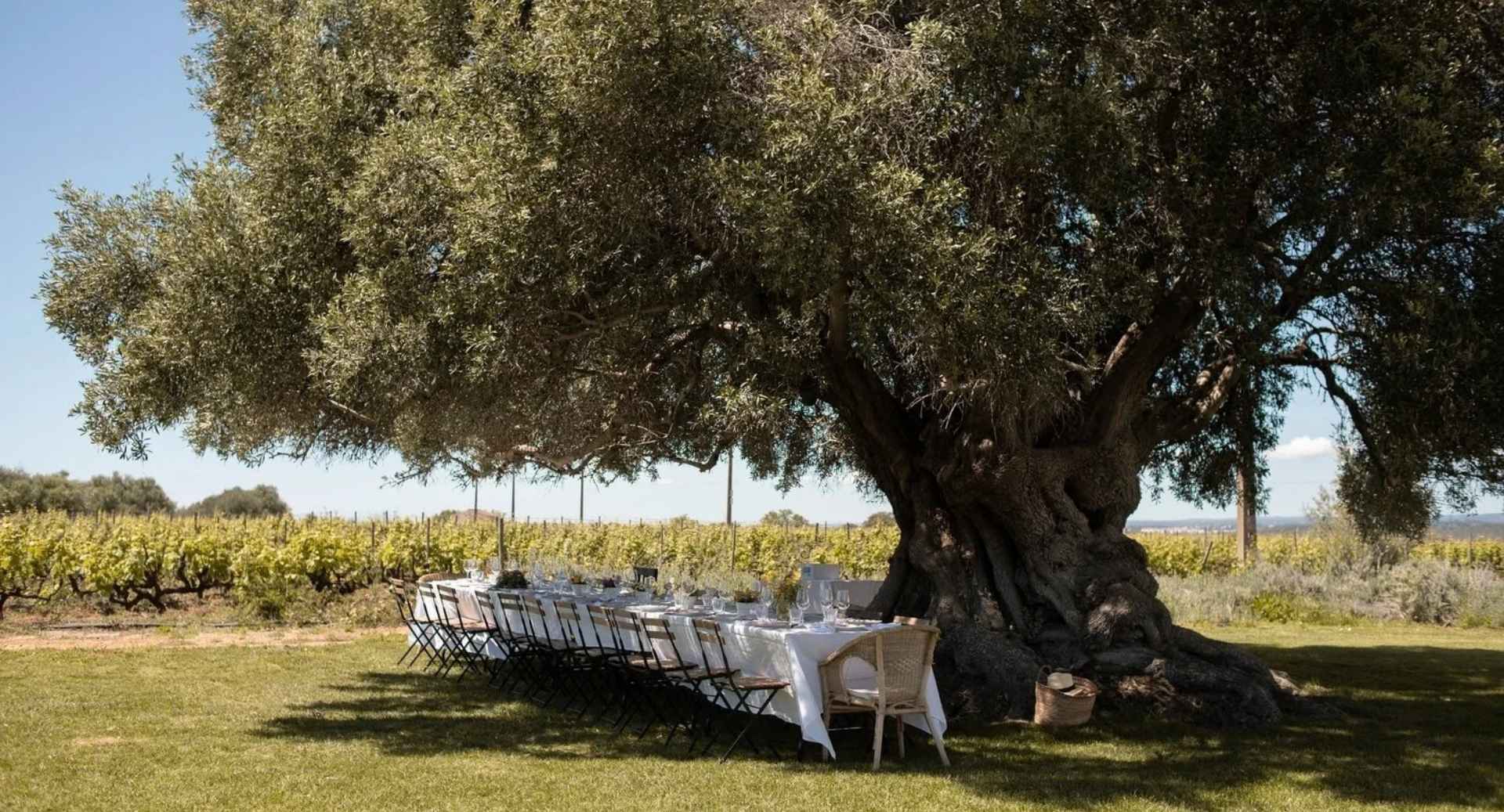 Best Restaurants In The Algarve