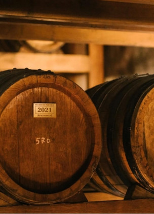 Best Tuscan Wineries Avignonesi