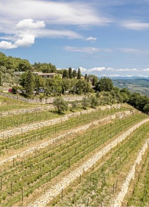 Best Tuscan Wineries Borgo Vescine
