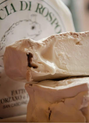 Best Tuscan Wineries Fattoria Corzano e Paterno