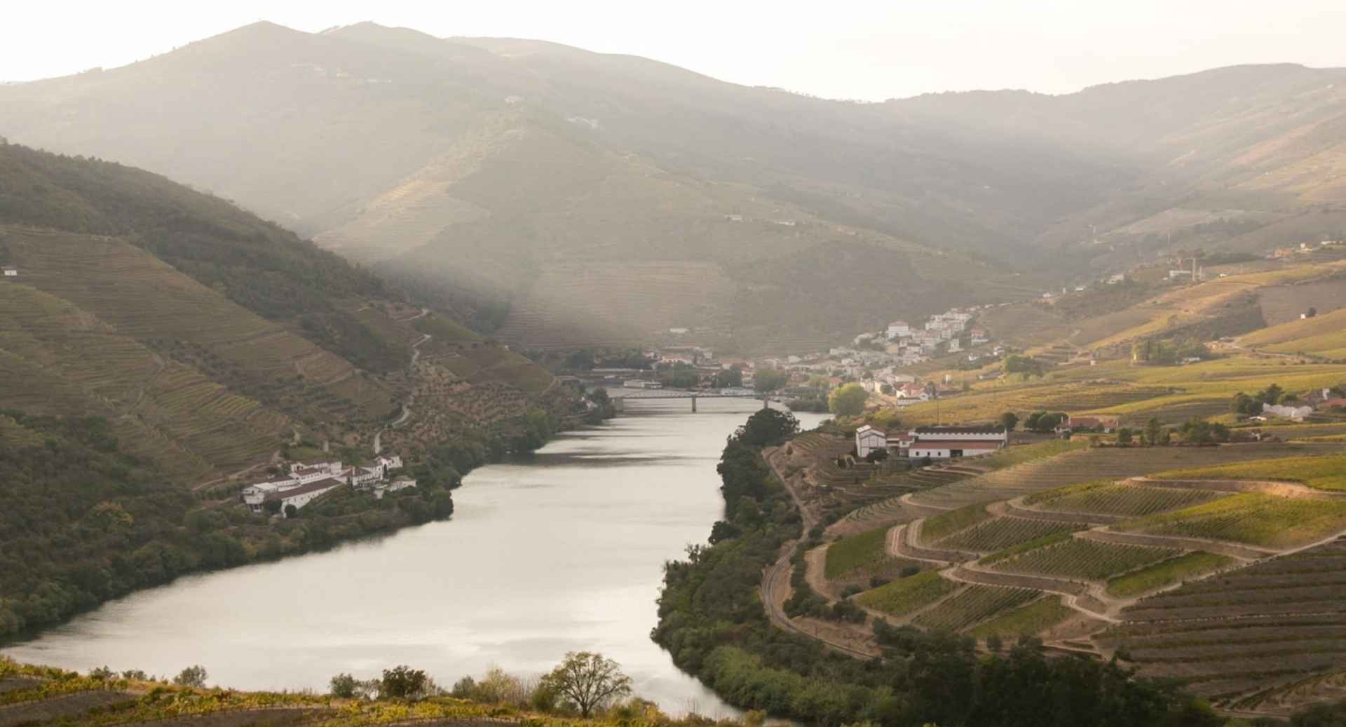 Best Wineries In Douro Valley