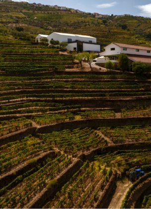 Best Wineries In Douro Valley Quinta da Côrte