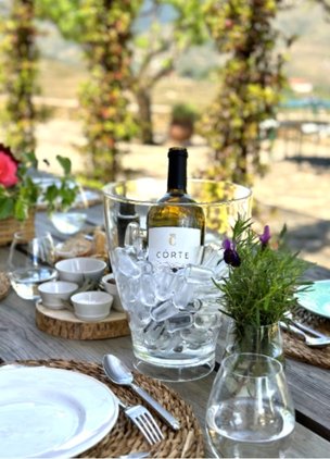 Best Wineries In Douro Valley Quinta da Côrte