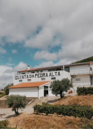 Best Wineries In Douro Valley Quinta da Pedra Alta