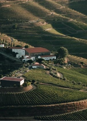Best Wineries In Douro Valley Quinta do Ventozelo