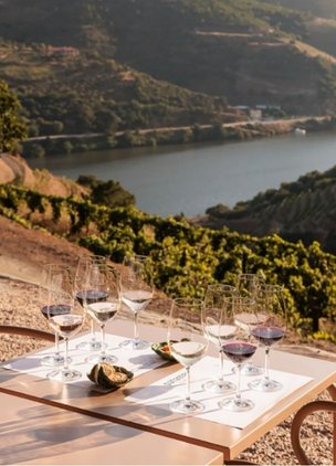 Best Wineries In Douro Valley Quinta Nova

