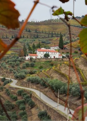 Best Wineries In Douro Valley Quinta do Noval