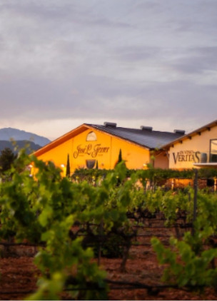 Wineries In Mallorca Bodegas José L. Ferrer