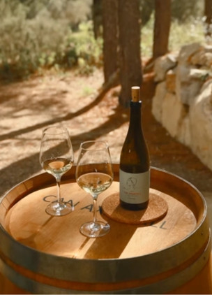 Wineries In Mallorca Can Axartell