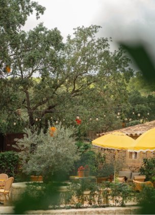 Wineries In Mallorca Terra IóN