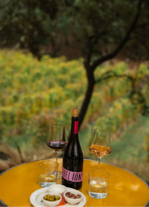 Wineries In Mallorca Terra IóN