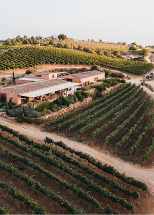 Wineries In The Algarve ARVAD WINE