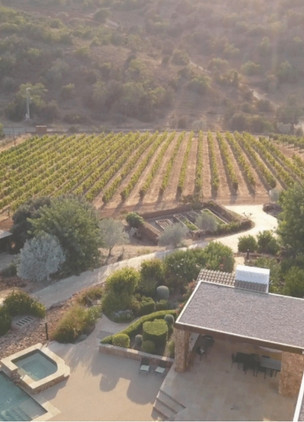 Wineries In The Algarve Quinta dos Sentidos